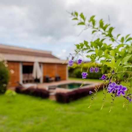 Grand Bay Luxury Villa With Pool & Garden Exteriér fotografie